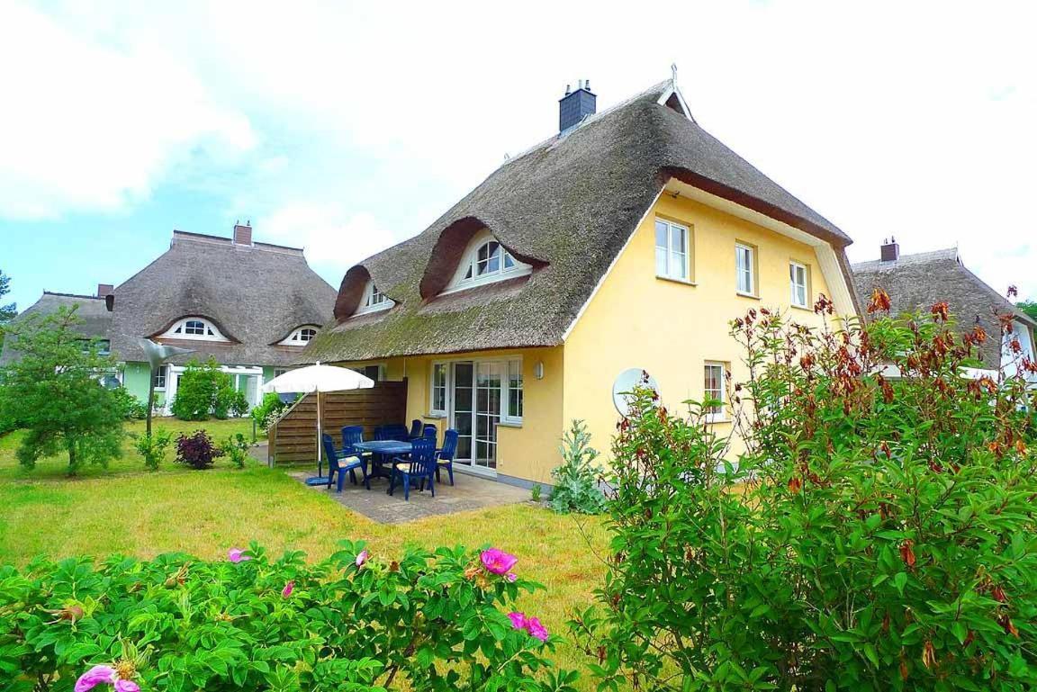 Ferienhaus An Der Alten Waldschaenke Ws-11A Born Exterior foto